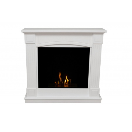 Биокамин FireBird Олимпия по цене 74 800 руб.